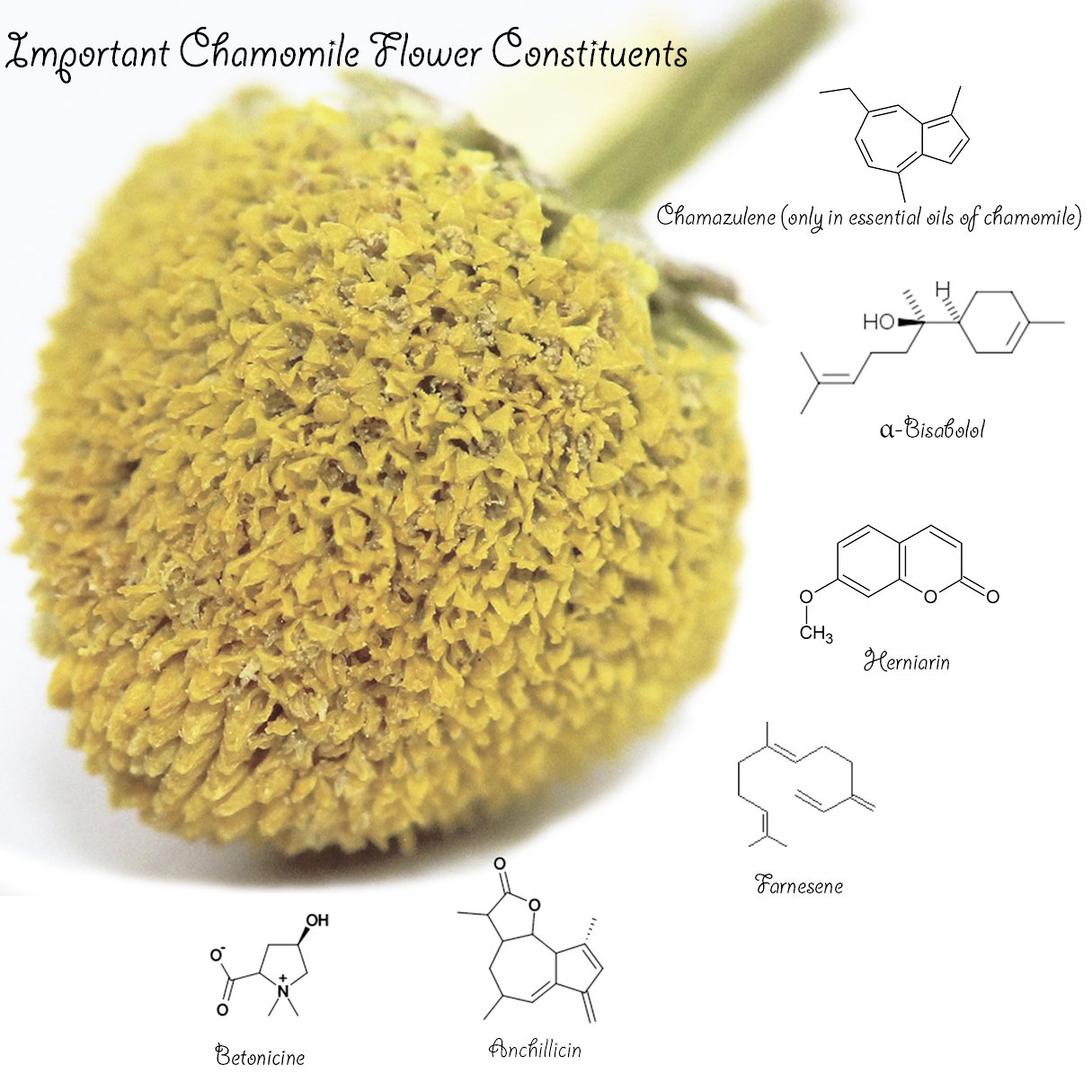 Calendula Tea 1LB (16Oz)