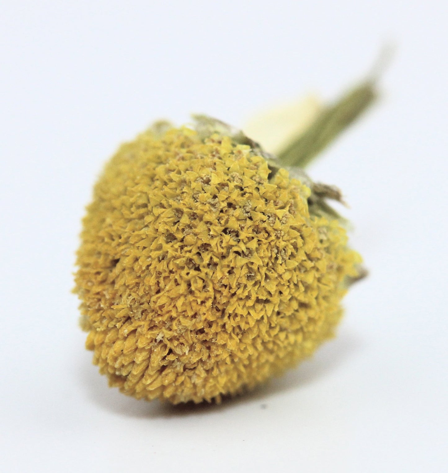 Calendula Tea 1LB (16Oz)