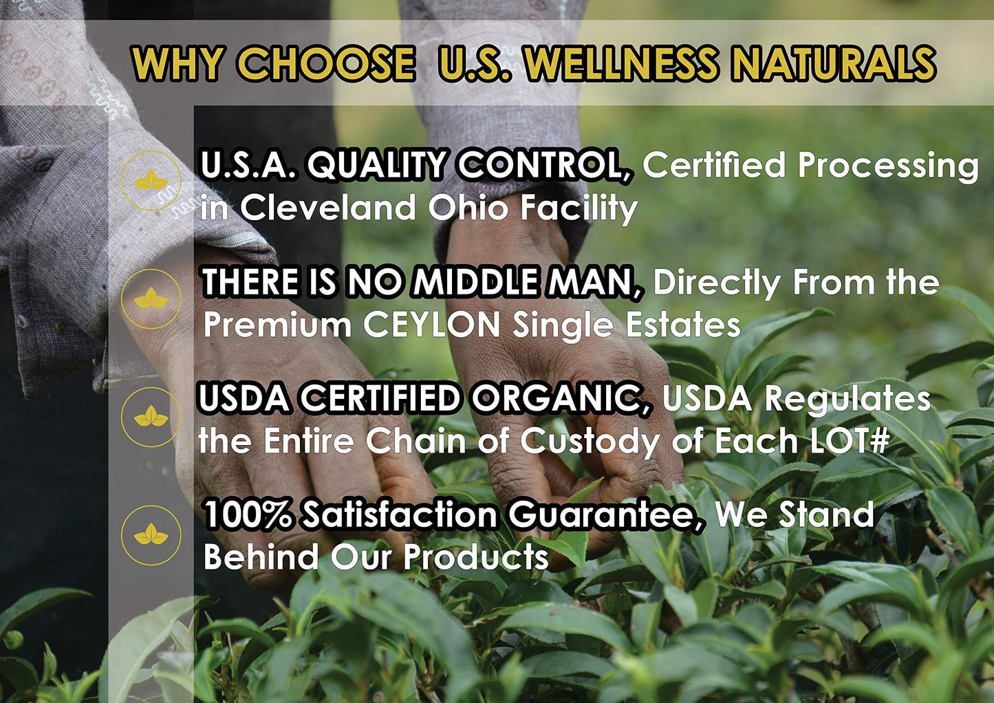 Calendula Tea 1LB (16Oz)