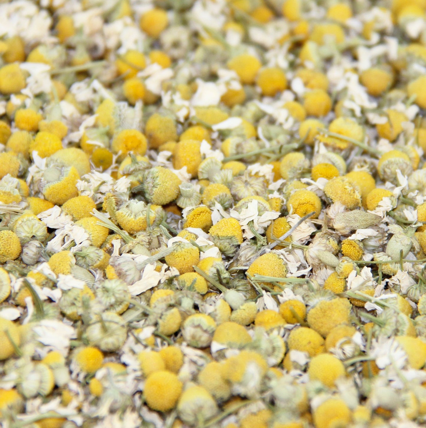 Calendula Tea 1LB (16Oz)