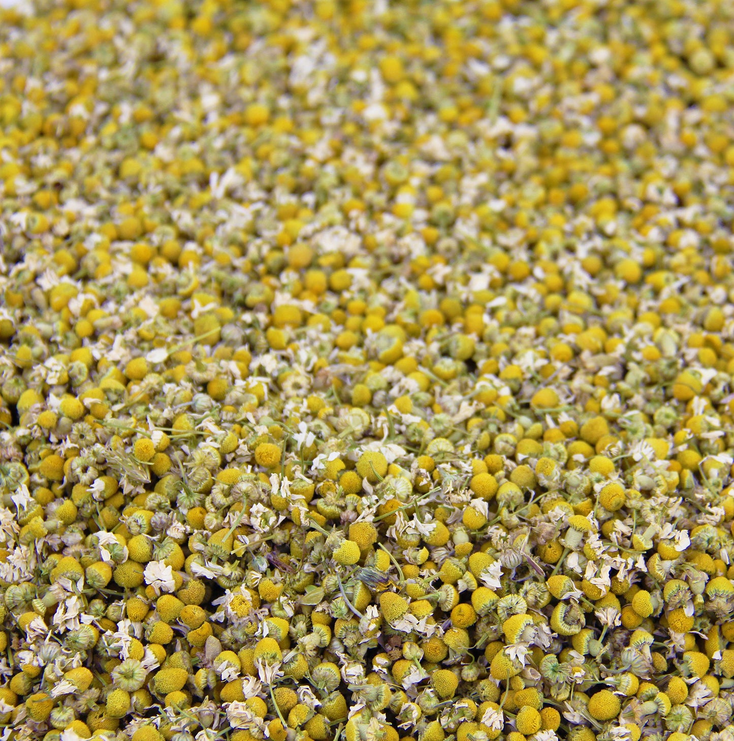 Calendula Tea 1LB (16Oz)